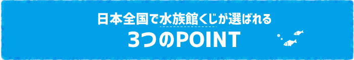 日本全国で水族館くじが選ばれる3つのPOINT